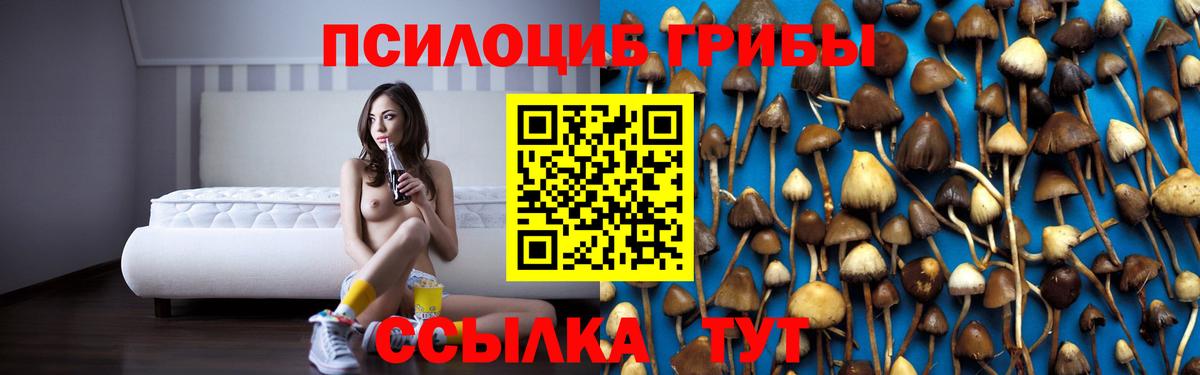 Галлюциногенные грибы ЛСД  Галлюциногенные грибы MAGIC MUSHROOMS  Ессентуки  Вход с VPN 