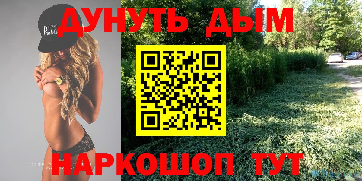 Канабис конопля Ессентуки